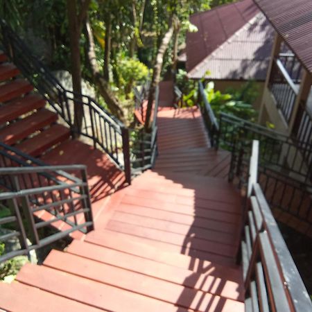Pawpaw Resort Lamai Beach  Exterior photo